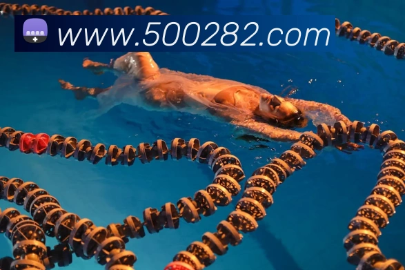 国际认证